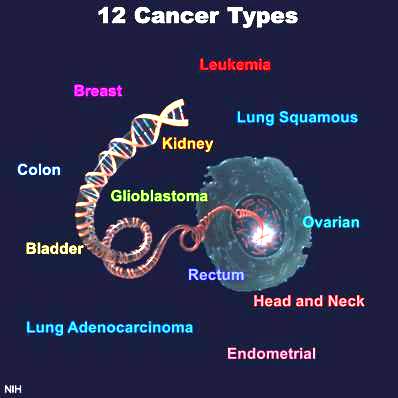 Tumor Types